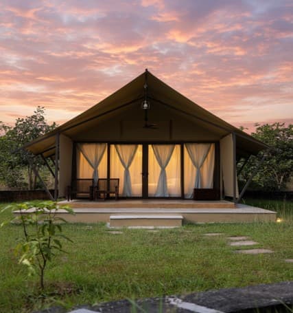 Glamping Tents - Madhuban Eco Retreat Bhopal